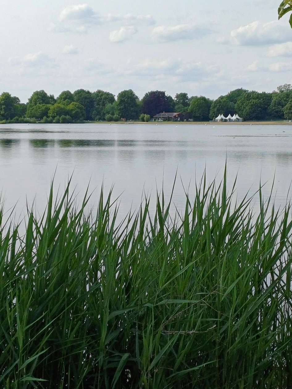 Das Panorama des Hohnsensees zeigt im Hintergrund Pavillons der Jo-Wiese